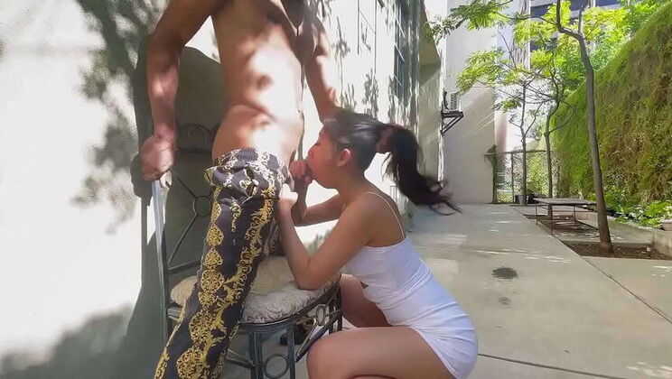 Asian Vixen Salee Lee's Outdoor Interracial Encounter