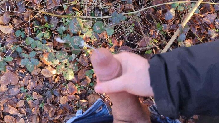 Public Handjob on Hiking Trail - Almost Caught by Hikers - German Amateur Couple