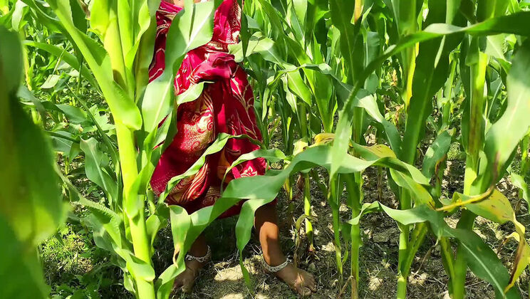 Step Dad Fucks Wife Outdoor in Jungle - Desi Bhabhi Hardcore Sex