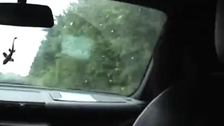 XXL Love Hitchhiker Gets Rough Outdoor Anal & Blowjob from German Couple - Big Tits MILF Sandy226