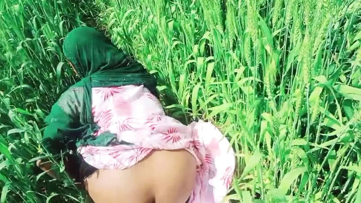 Desi Village Bhabhi Sexy Video in Wheat Fields – Hot Indian Aunty Fucking